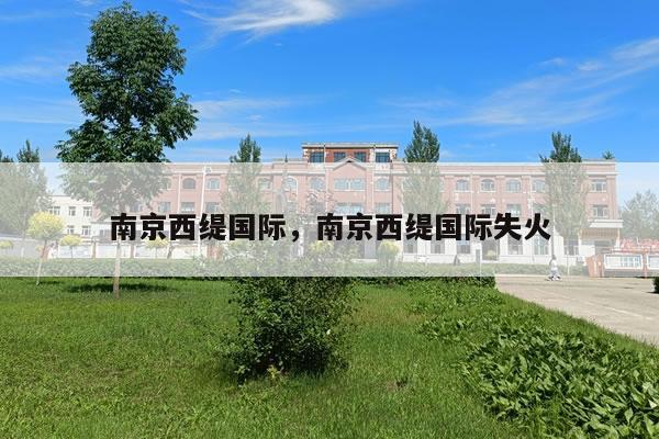 南京西缇国际,南京西缇国际失火